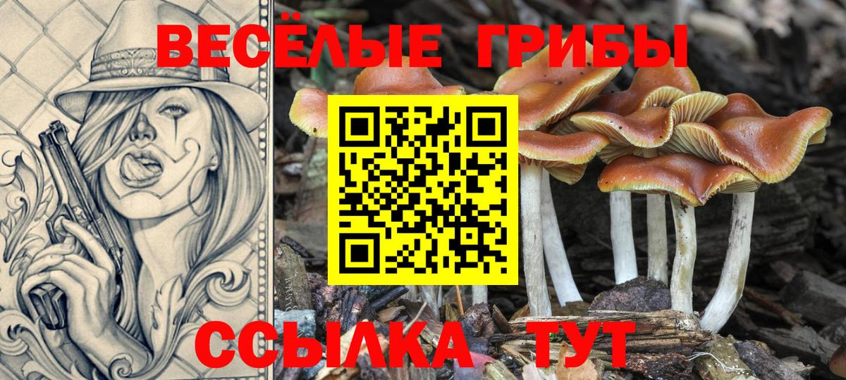 Армавир  Галлюциногенные грибы Psilocybe  Вход с VPN 